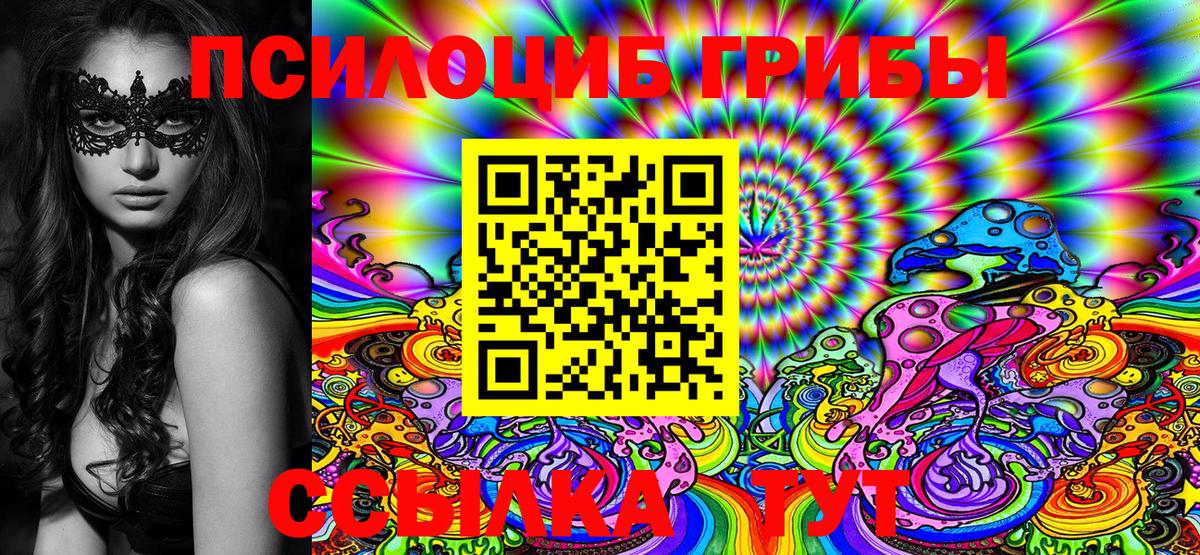 где можно купить наркотик  Вход с VPN  Галлюциногенные грибы MAGIC MUSHROOMS  Камышлов  Псилоцибиновые грибы Psilocybine cubensis 